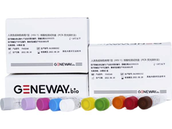 人類免疫缺陷病毒1型（HIV-1）核酸檢測試劑盒（PCR-熒光探針法）